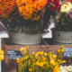 Starting Your Florist Business