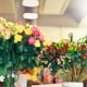 From Passion to Profession: Online Floral Design Classes for Career Changers