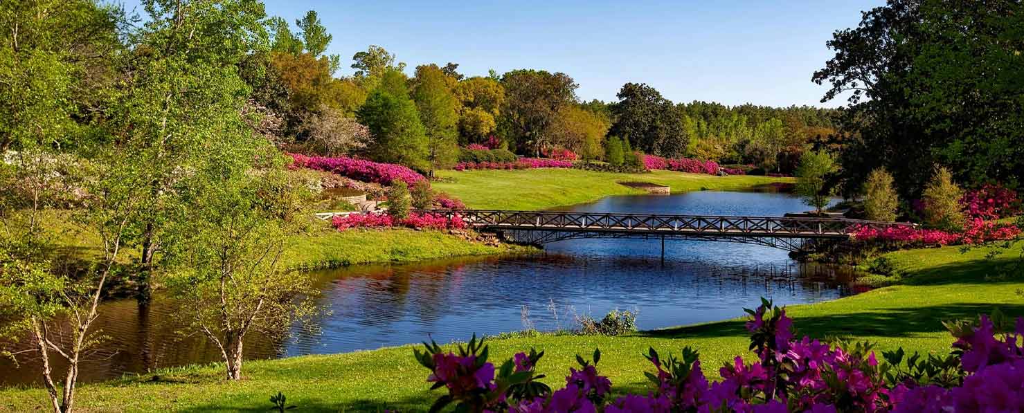 Floral design class in colorado springs